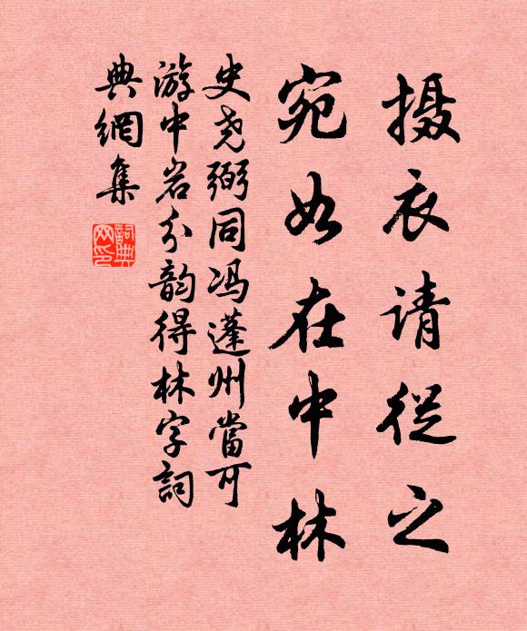 史尧弼摄衣请从之，宛如在中林书法作品欣赏