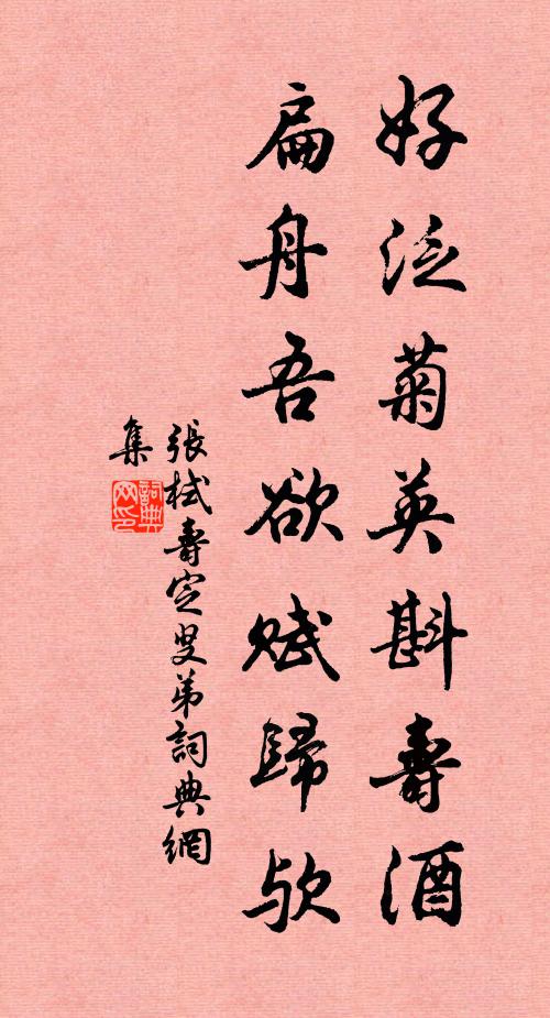 张栻好泛菊英斟寿酒，扁舟吾欲赋归欤书法作品欣赏