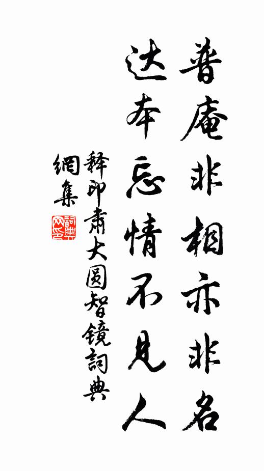 释印肃普庵非相亦非名，达本忘情不见人书法作品欣赏