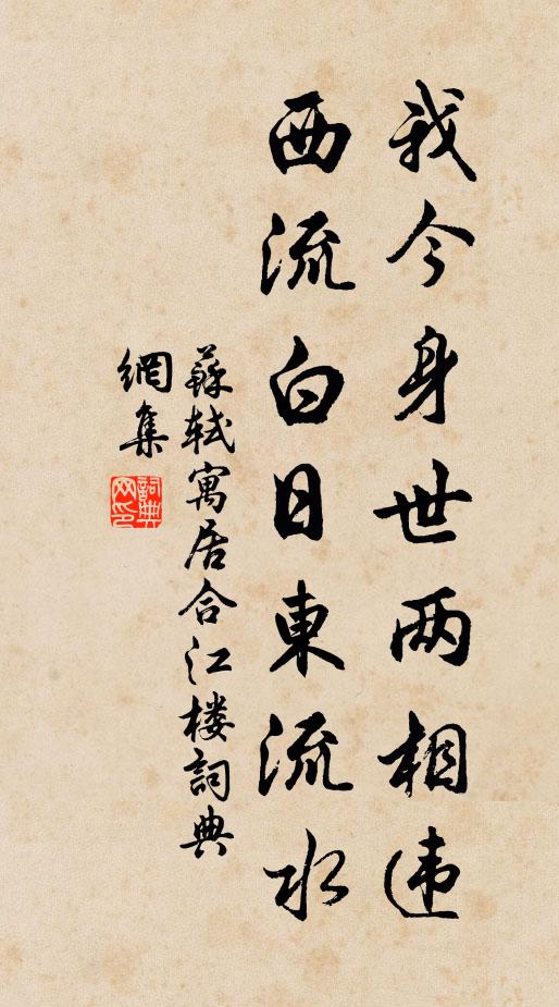 苏轼我今身世两相违，西流白日东流水书法作品欣赏