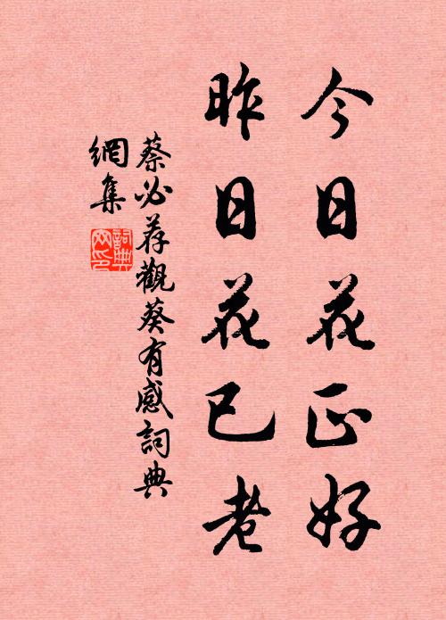 蔡必荐今日花正好，昨日花已老书法作品欣赏
