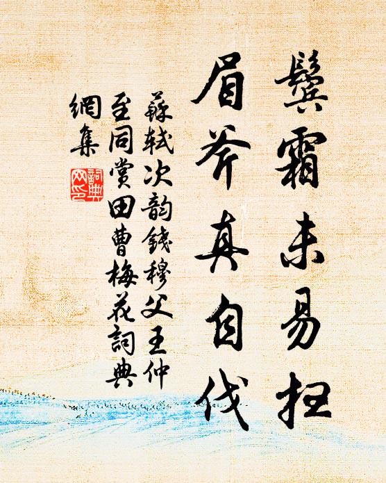 苏轼鬓霜未易扫，眉斧真自伐书法作品欣赏