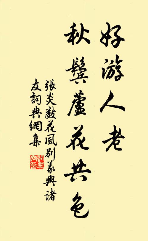 张炎好游人老，秋鬓芦花共色书法作品欣赏