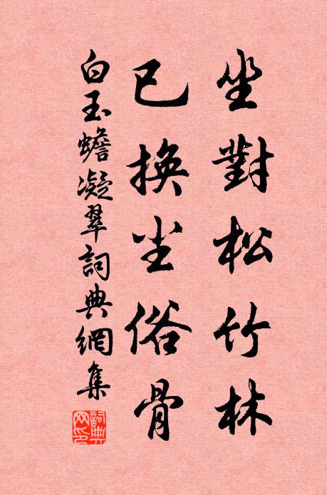 白玉蟾坐对松竹林，已换尘俗骨书法作品欣赏