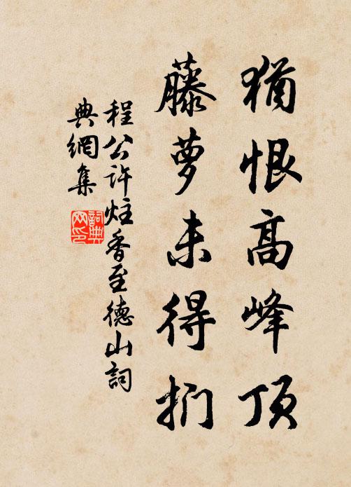 程公许犹恨高峰顶，藤萝未得扪书法作品欣赏