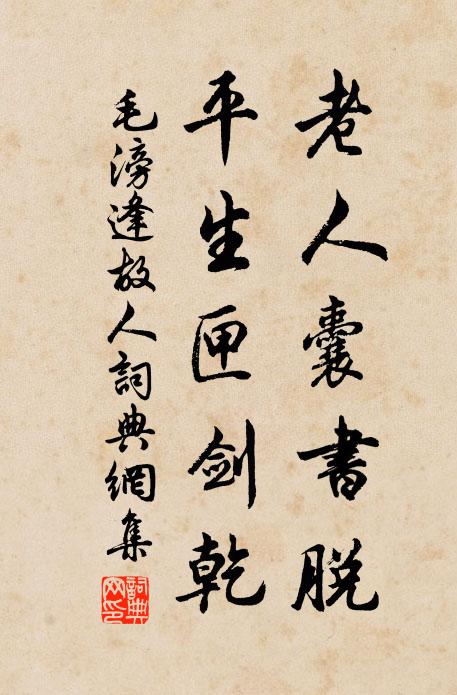 毛滂老人囊书脱，平生匣剑乾书法作品欣赏