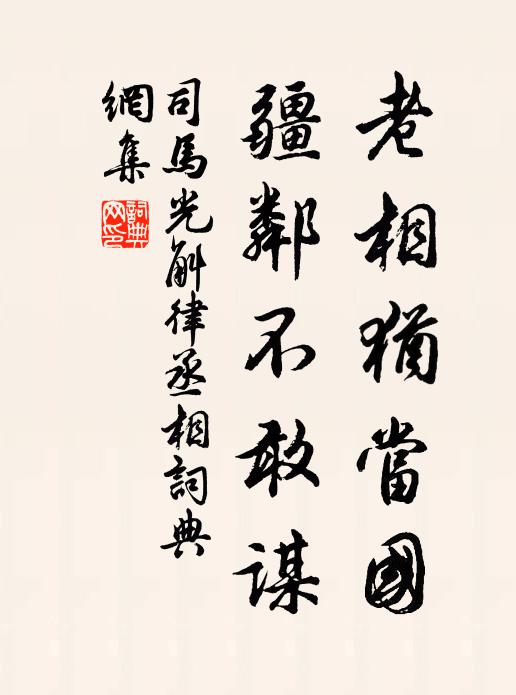 司马光老相犹当国，疆邻不敢谋书法作品欣赏