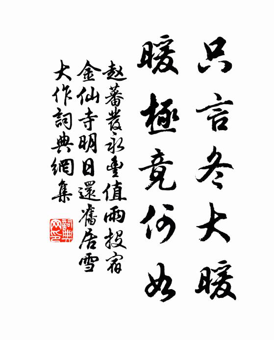 赵蕃只言冬大暖，暖极竟何如书法作品欣赏