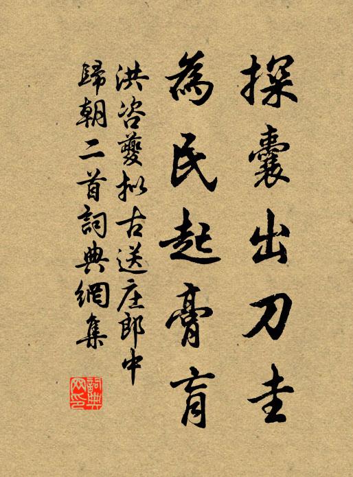 洪咨夔探囊出刀圭，为民起膏肓书法作品欣赏