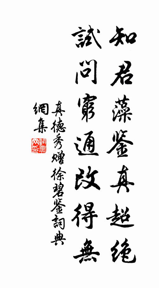 真德秀知君藻鉴真超绝，试问穷通改得无书法作品欣赏