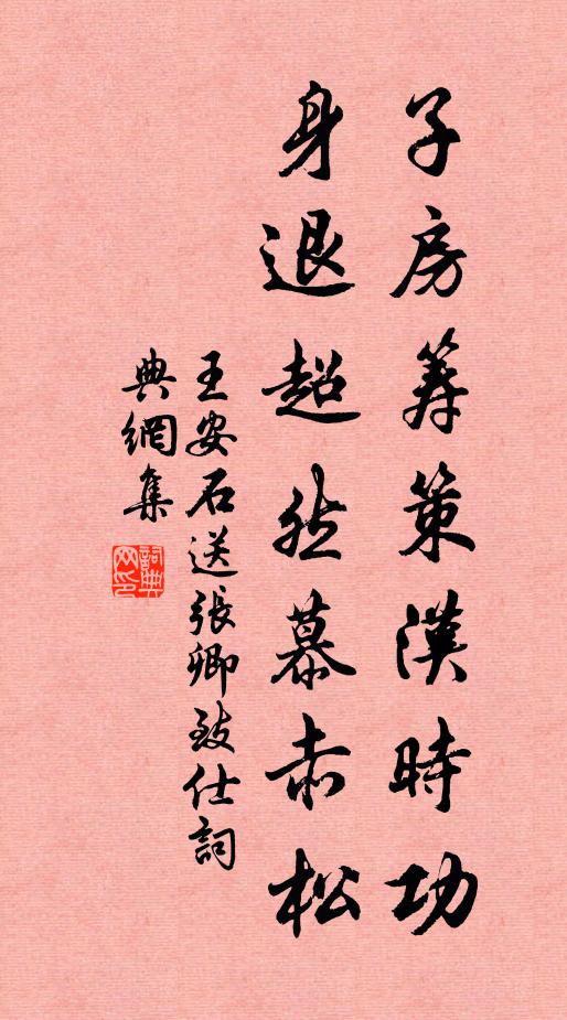 王安石子房筹策汉时功，身退超然慕赤松书法作品欣赏