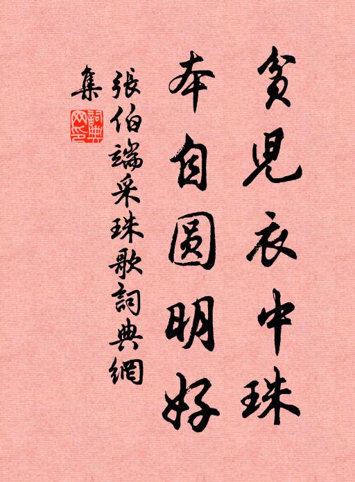 张伯端贫儿衣中珠，本自圆明好书法作品欣赏
