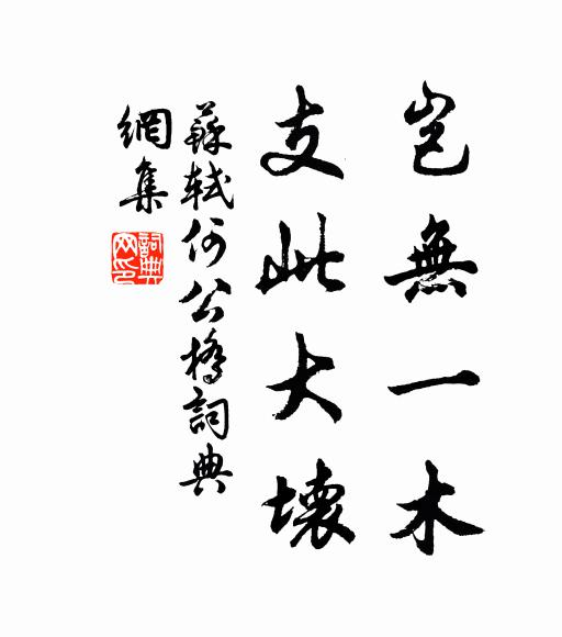 苏轼岂无一木,支此大坏书法作品欣赏
