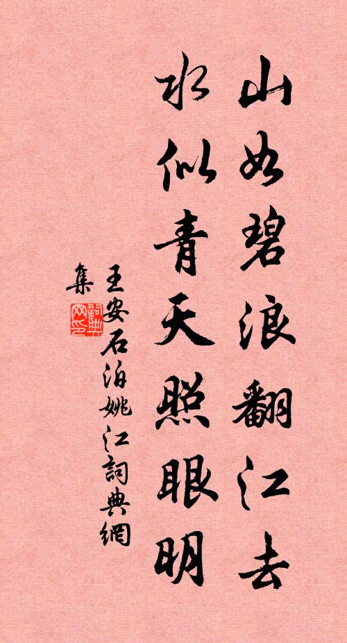 王安石山如碧浪翻江去，水似青天照眼明书法作品欣赏