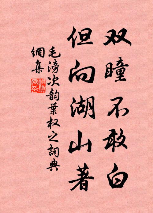 毛滂双瞳不敢白，但向湖山著书法作品欣赏