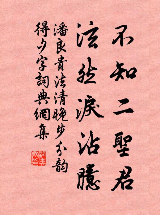 潘良贵不知二圣君，泫然泪沾臆书法作品欣赏