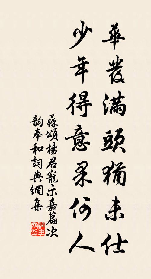 苏颂华发满头犹未仕，少年得意果何人书法作品欣赏