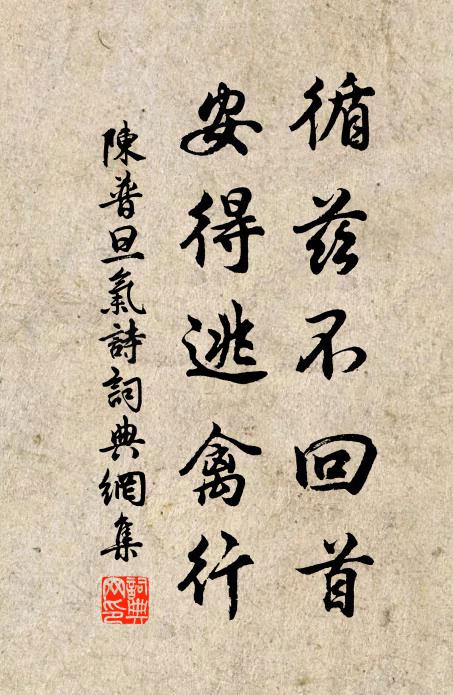 陈普循兹不回首，安得逃禽行书法作品欣赏
