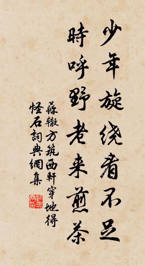 苏辙少年旋绕看不足，时呼野老来煎茶书法作品欣赏