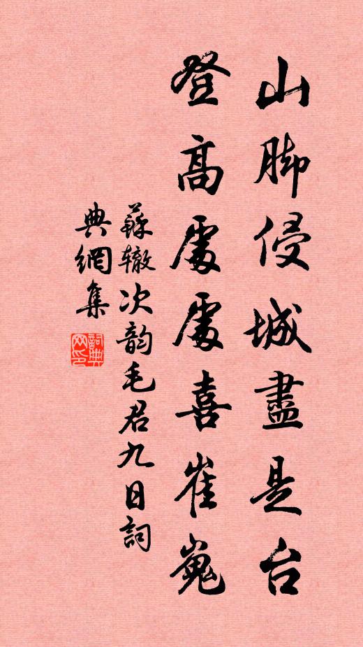 苏辙山脚侵城尽是台，登高处处喜崔嵬书法作品欣赏