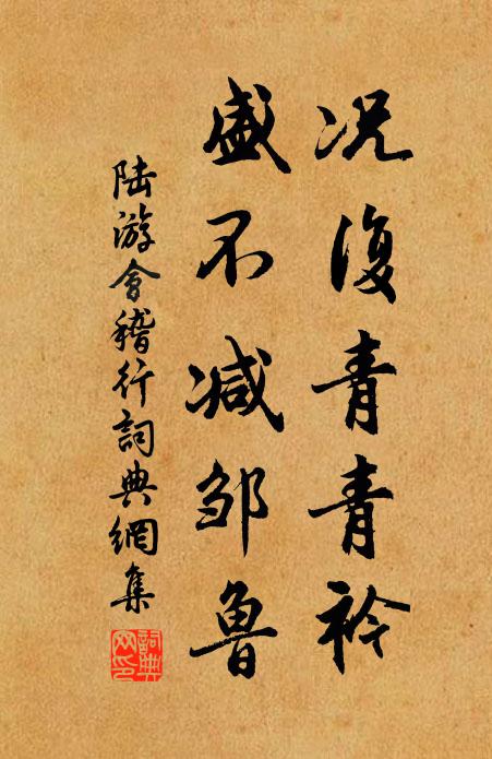 陆游况复青青衿，盛不减邹鲁书法作品欣赏