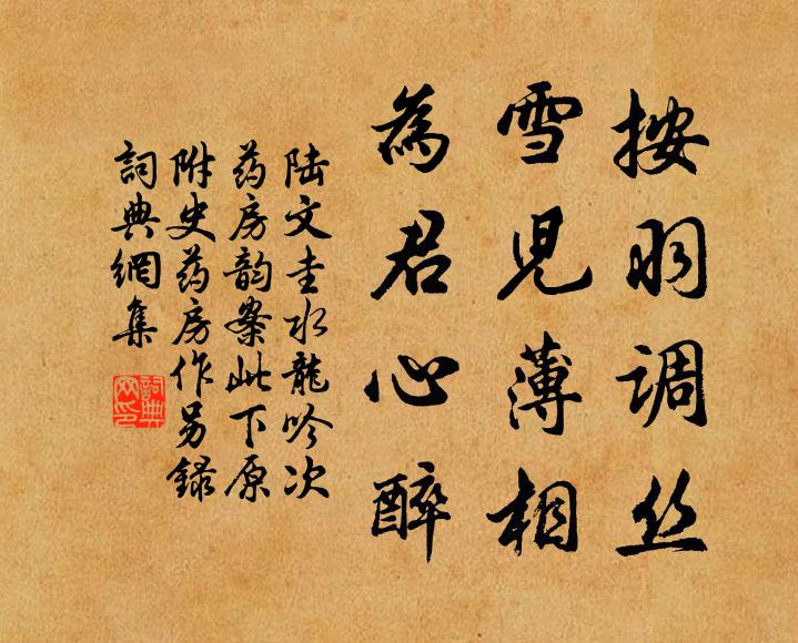 陆文圭按羽调丝，雪儿薄相，为君心醉书法作品欣赏