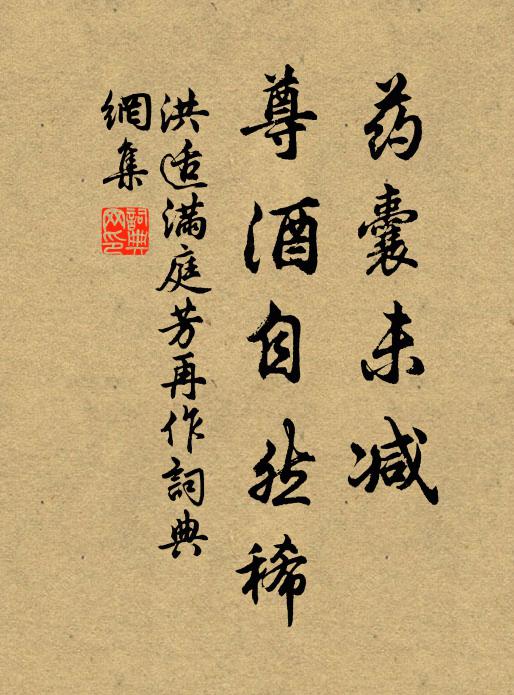 洪适药囊未减，尊酒自然稀书法作品欣赏