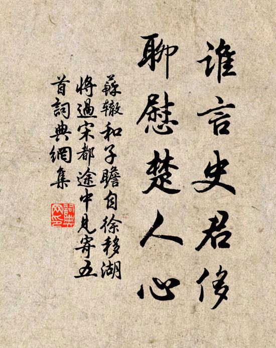 苏辙谁言史君侈，聊慰楚人心书法作品欣赏