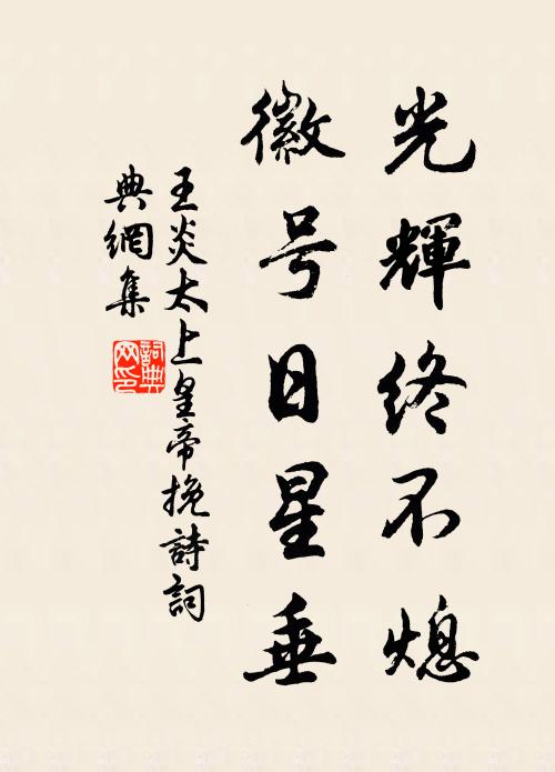 王炎光辉终不熄，徽号日星垂书法作品欣赏