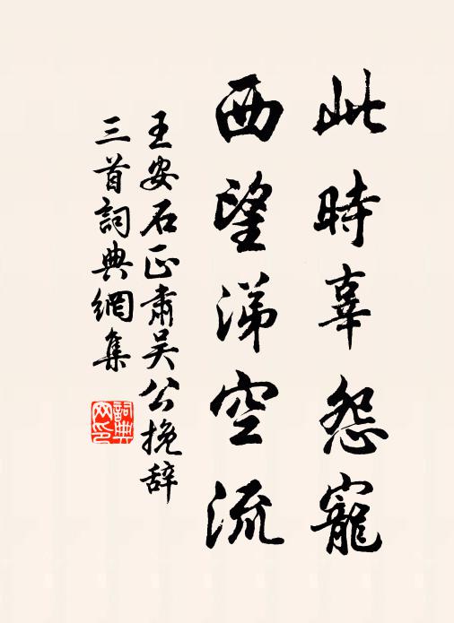 王安石此时辜怨宠，西望涕空流书法作品欣赏