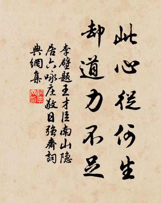 李壁此心从何生，却道力不足书法作品欣赏