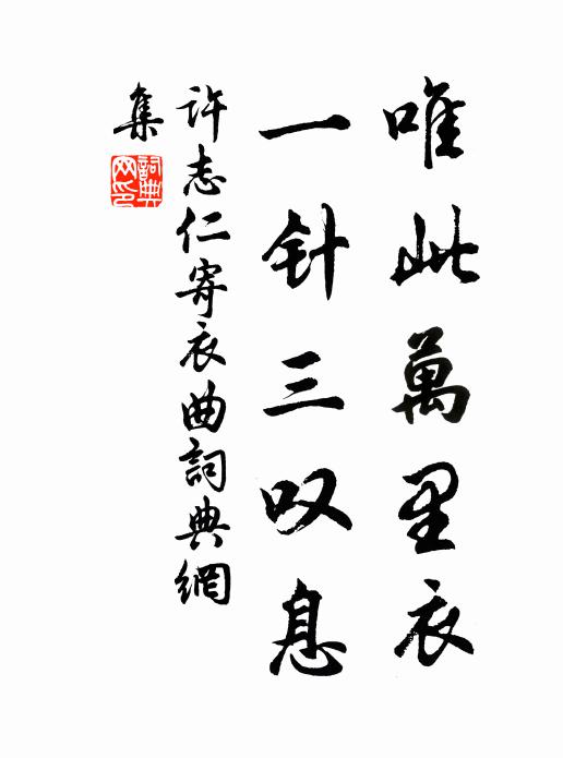 许志仁唯此万里衣，一针三叹息书法作品欣赏
