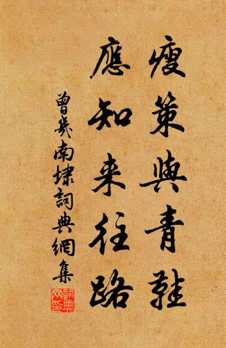 曾几瘦策与青鞋，应知来往路书法作品欣赏