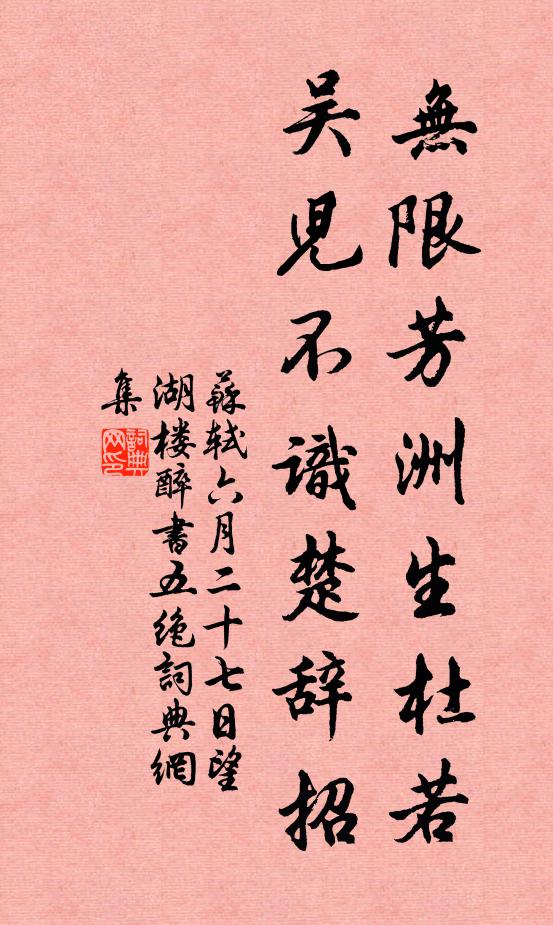 苏轼无限芳洲生杜若，吴儿不识楚辞招书法作品欣赏