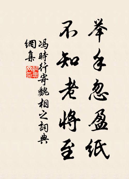 冯时行举手忽盈纸,不知老将至书法作品欣赏