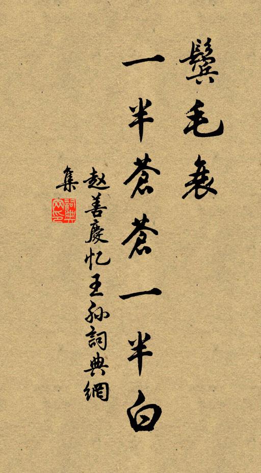 赵善庆鬓毛衰，一半苍苍一半白书法作品欣赏