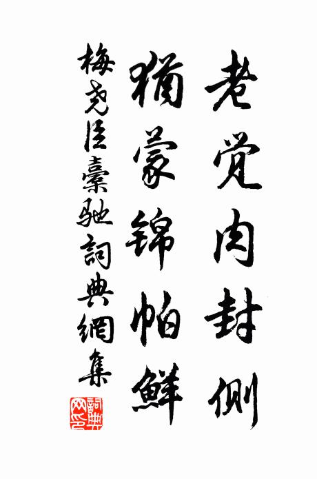 梅尧臣老觉肉封侧，犹蒙锦帕鲜书法作品欣赏
