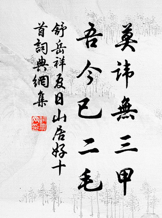 舒岳祥莫讳无三甲，吾今已二毛书法作品欣赏