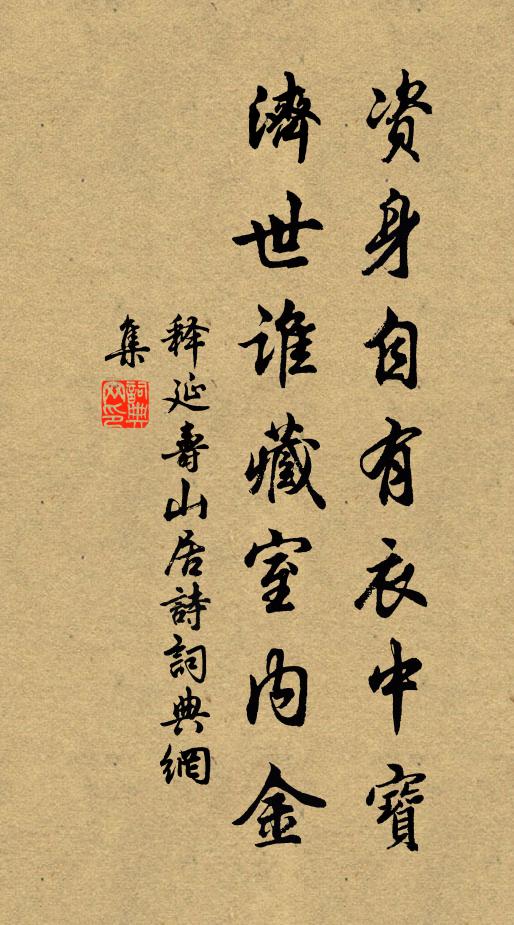 释延寿资身自有衣中宝，济世谁藏室内金书法作品欣赏