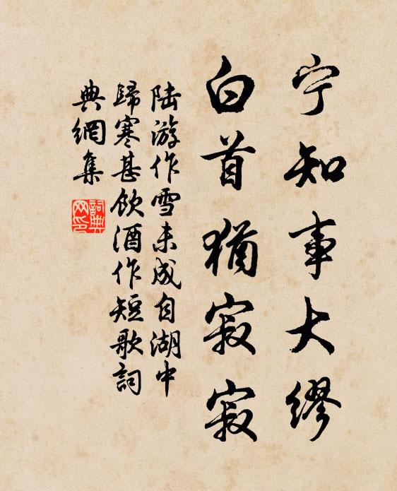 陆游宁知事大缪，白首犹寂寂书法作品欣赏