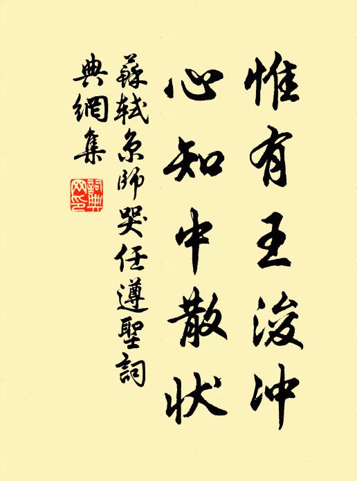苏轼惟有王浚冲，心知中散状书法作品欣赏