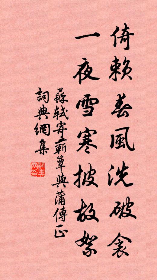 苏轼倚赖春风洗破衾，一夜雪寒披故絮书法作品欣赏