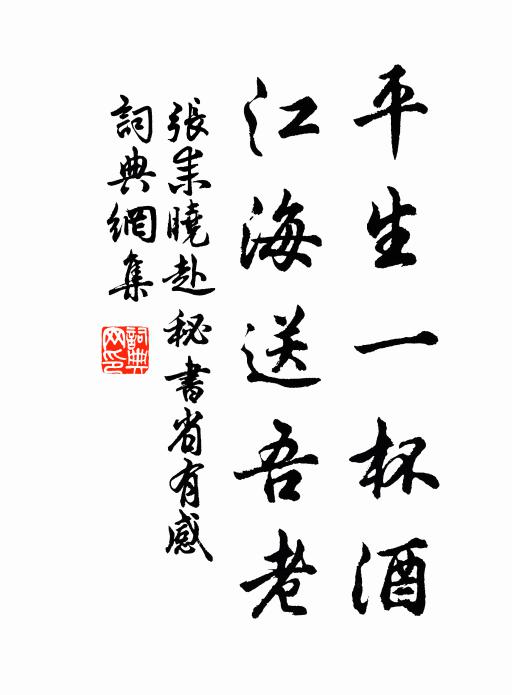 张耒平生一杯酒，江海送吾老书法作品欣赏