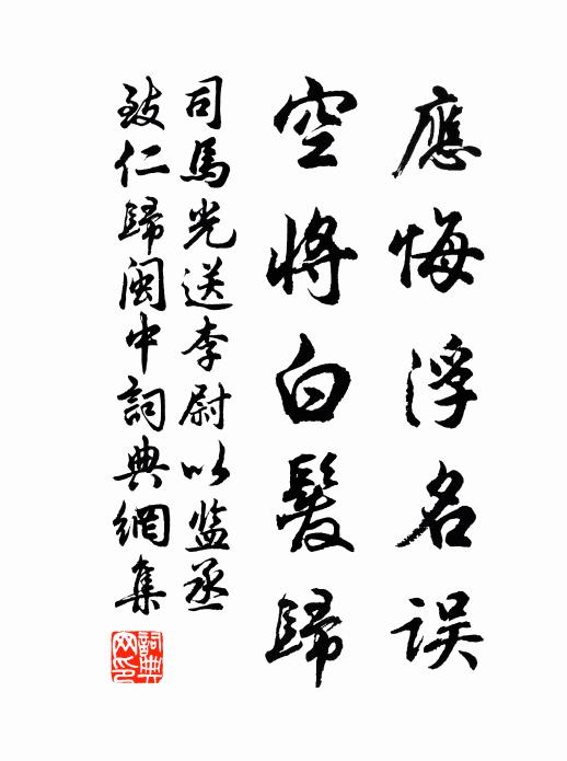 司马光应悔浮名误，空将白发归书法作品欣赏