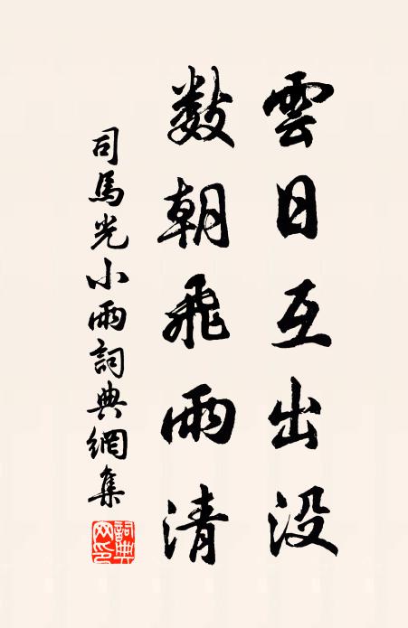 司马光云日互出没，数朝飞雨清书法作品欣赏
