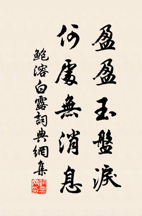 鲍溶盈盈玉盘泪，何处无消息书法作品欣赏