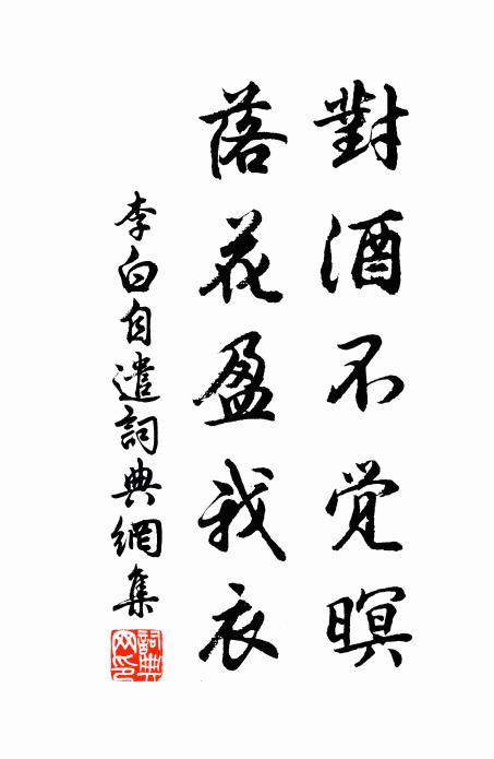 李白对酒不觉暝，落花盈我衣书法作品欣赏