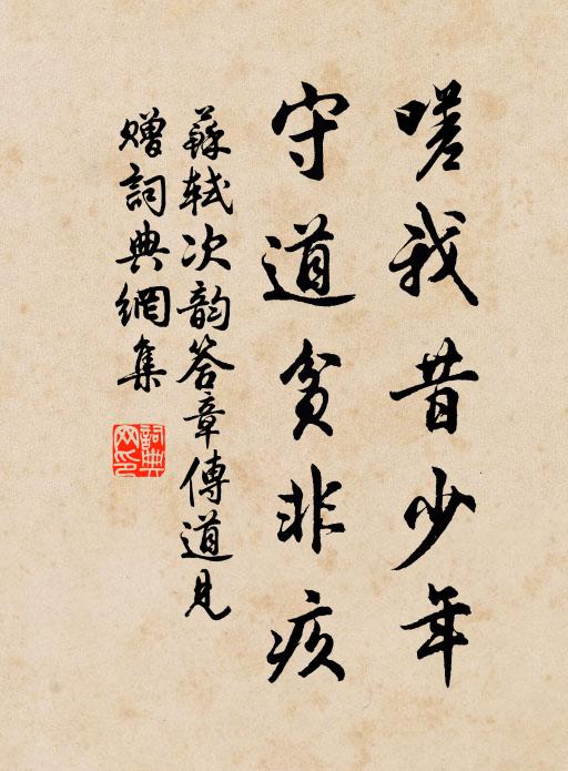 苏轼嗟我昔少年，守道贫非疚书法作品欣赏