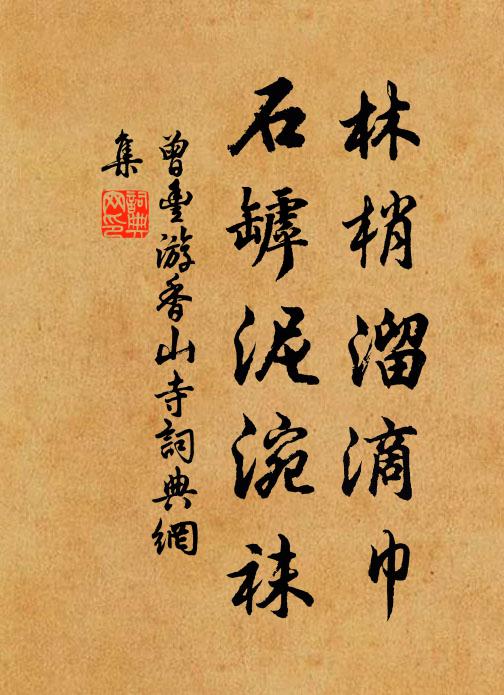 曾丰林梢溜滴巾，石罅泥涴袜书法作品欣赏