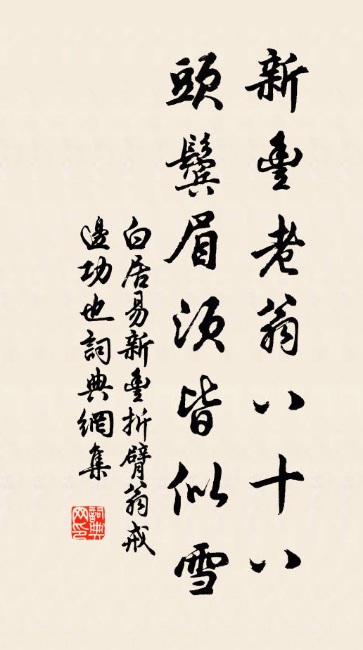 白居易新丰老翁八十八，头鬓眉须皆似雪书法作品欣赏